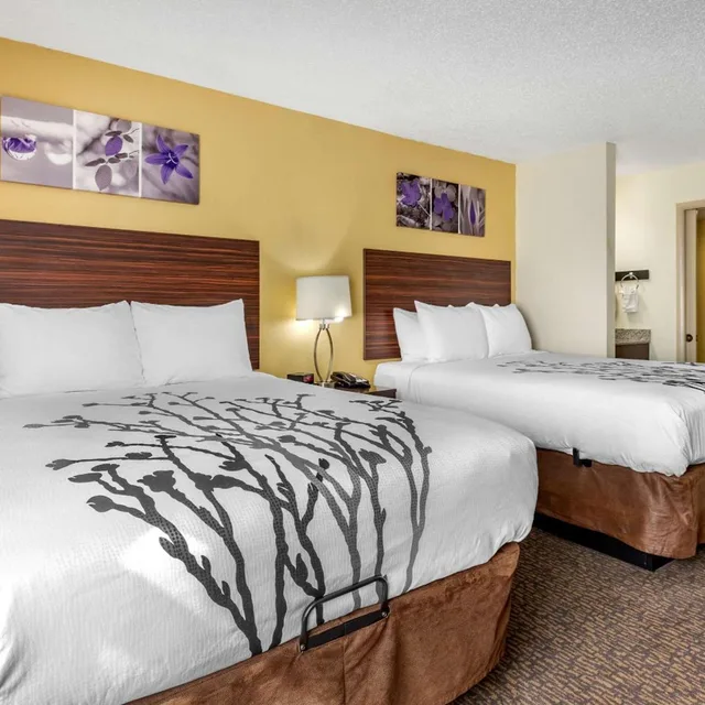 غرفة بسريرين كوين يُسمح فيها بالحيوانات الأليفة، Sleep Inn Henderson 2/4