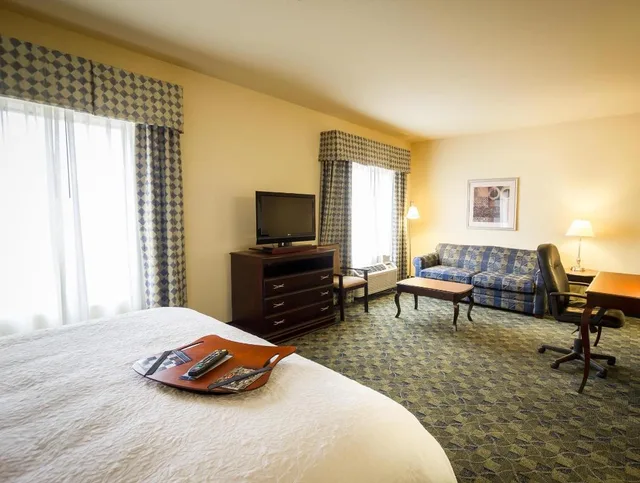 جناح بسرير كينج مع أريكة لذوي الإعاقة، Hampton Inn Suites Natchez 3/4