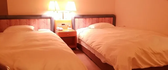 Deluxe, Single Bed, Hotel Grand Terrace Toyama 3/6