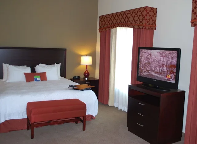 جناح استوديو سيغنتشر بسرير كينج، Hampton Inn & Suites Phoenix/Gilbert 9/10