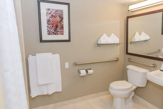 جناح استوديو بسرير كينج لذوي الإعاقة، Embassy Suites by Hilton West Palm Beach Central 2/3