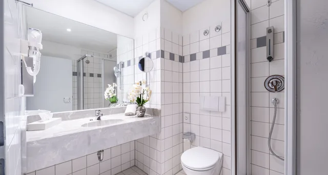 غرفة كومفورت بسرير مزدوج، Plaza Hotel Zwickau 4/5