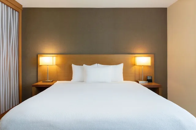 غرفة ديلوكس بسرير كينج بإطلالة على المدينة، Hyatt Place Ciudad Del Carmen 1/3