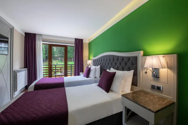 جناح ديلوكس، Sairme Hotels & Resorts 2/4