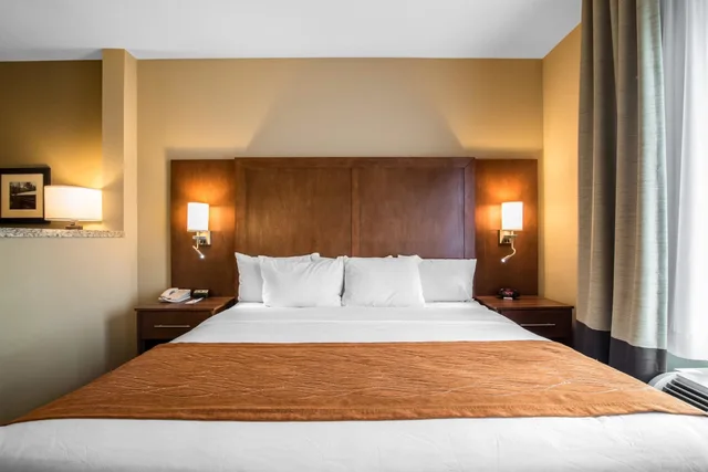 جناح بسرير كينج مع أريكة، Comfort Inn & Suites Sayre, PA 3/10