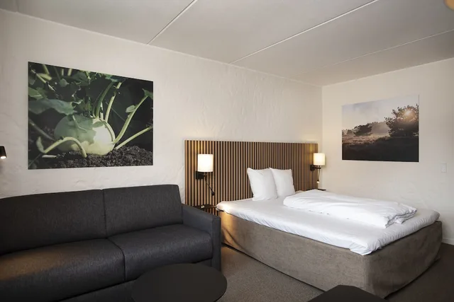 غرفة سوبيريور بسرير كينج مع أريكة، Hotel Dalgas, BW Signature Collection 2/10