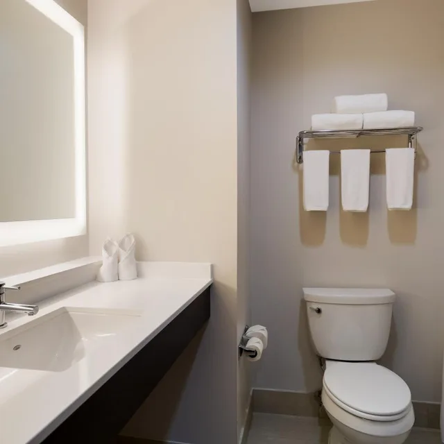 Suite, King Bed, Sofa, Holiday Inn Express Hotel & Suites Newton Sparta 7/10
