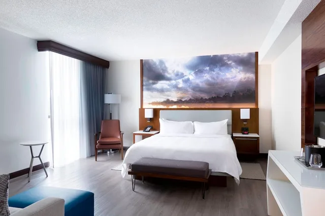 جناح جونيور بسرير كينج، Greensboro High Point Marriott Airport 1/3