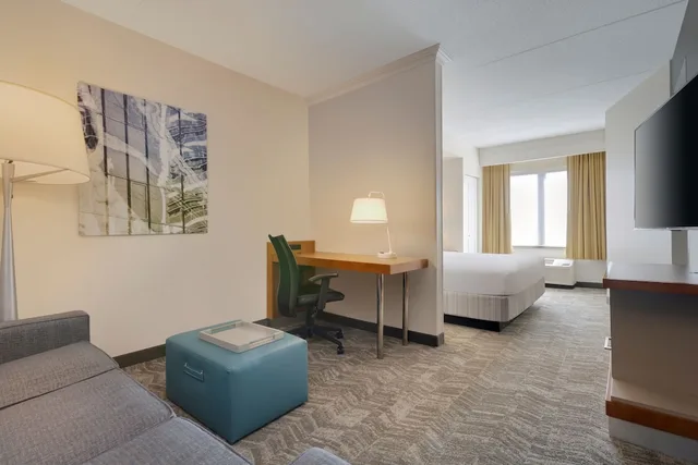 جناح بسرير كينج مع أريكة لذوي الإعاقة، Springhill Suites By Marriott Newark Liberty International 3/8