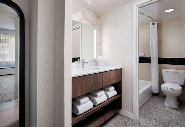 جناح بسرير كينج بغرفة نوم واحدة مع أريكة، Sonesta ES Suites Chicago Downtown Magnificent Mile 6/7