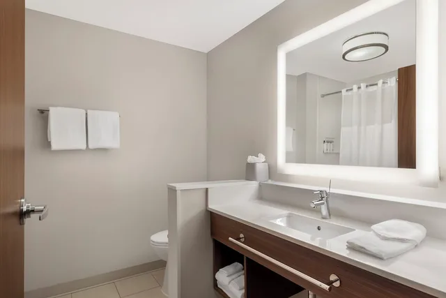 غرفة قياسية بسريرين مزدوجين لذوي الإعاقة، Holiday Inn Express Spring Hill 7/9