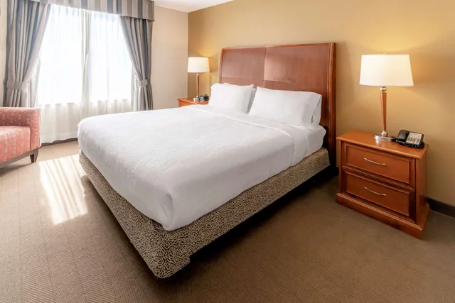 جناح بسرير كينج بغرفة نوم واحدة مع أريكة بحوض جاكوزي، Hilton Garden Inn Houston The Woodlands 1/2