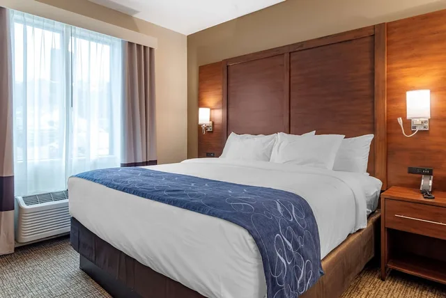 Suite, King Bed, Accessible, Comfort Suites Newnan GA 1/5