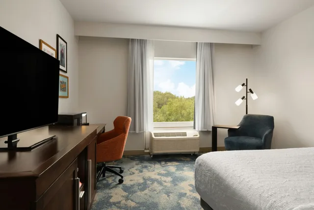 Room, King Bed, Accessible, Hampton Inn Suites Deland 5/10