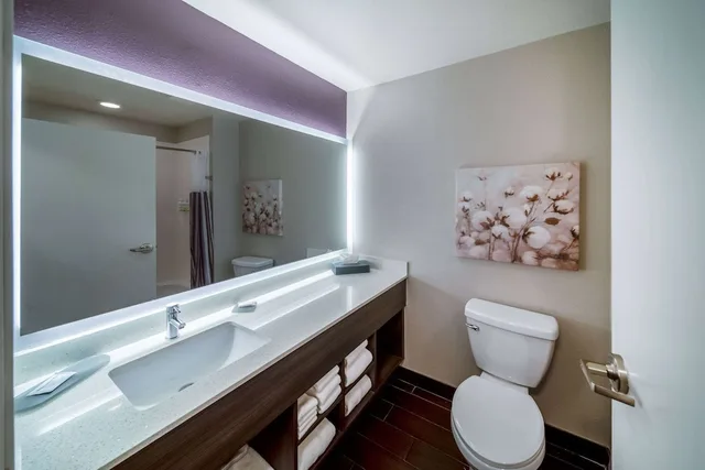 Room, King Bed, Jetted Tub, La Quinta Inn & Suites by Wyndham Rockwall 7/9