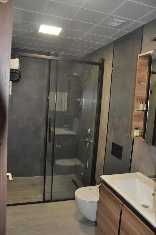 City, Suite, King Bed, Sofa، Golaz Suit Otel 2/2