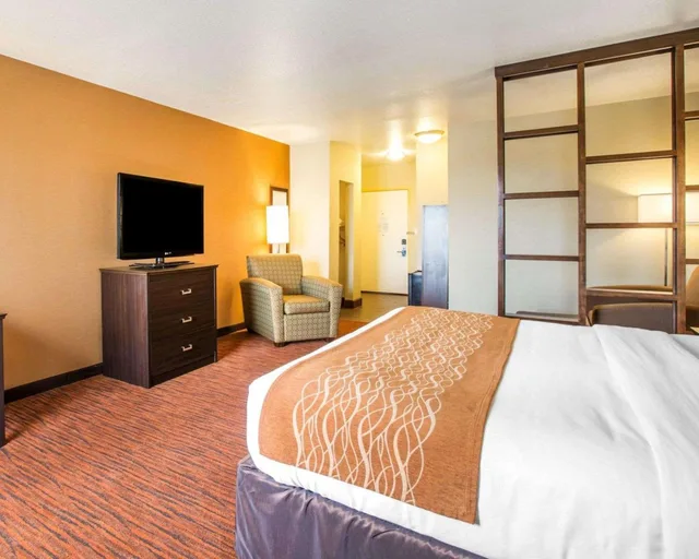 غرفة قياسية بسرير كينج لذوي الإعاقة، Comfort Suites Clovis - Fresno 6/8