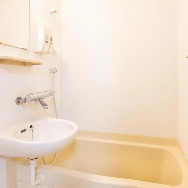 غرفة قياسية بسرير مزدوج، Yokohama Town Hotel 8/10