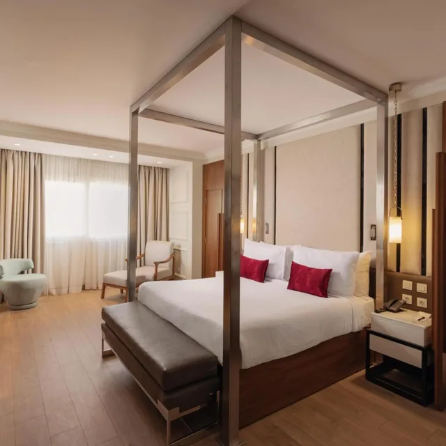جناح ديلوكس بسرير مزدوج، Sonesta Hotel Tower and Casino Cairo 1/6