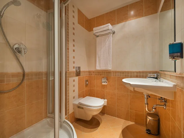 غرفة قياسية بسرير مزدوج، Ea Hotel Rokoko 7/7