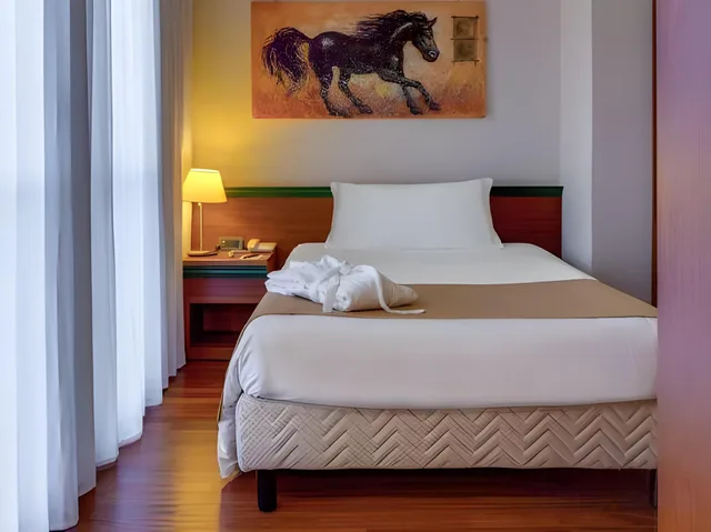 غرفة سيغنتشر سوبيريور، Hotel Raffaello 1/2