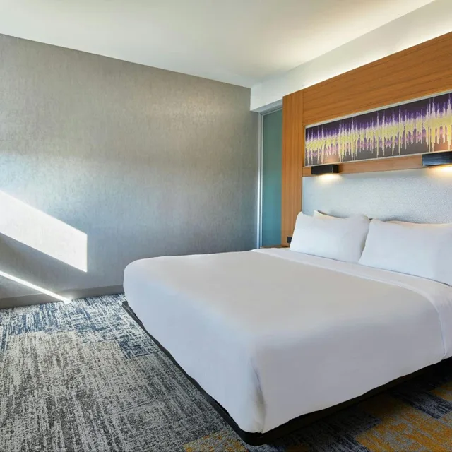 Aloft, Guest Room, King Bed، Aloft Dulles Airport North 2/9