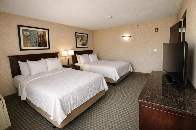 جناح بسريرين كوين لذوي الإعاقة، Hotel Lotus Kansas City Stadium 1/3