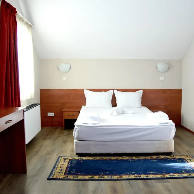 Vip, Apartment, King Bed، Sveta Sofia Hotel 1/4