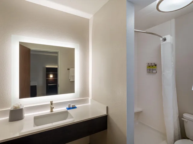 Specialty، Holiday Inn Express Minneapolis West Plymouth 1/1