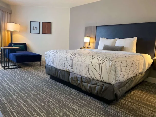 غرفة قياسية بسرير كينج بإطلالة على المسبح، Best Western Denver East 4/10