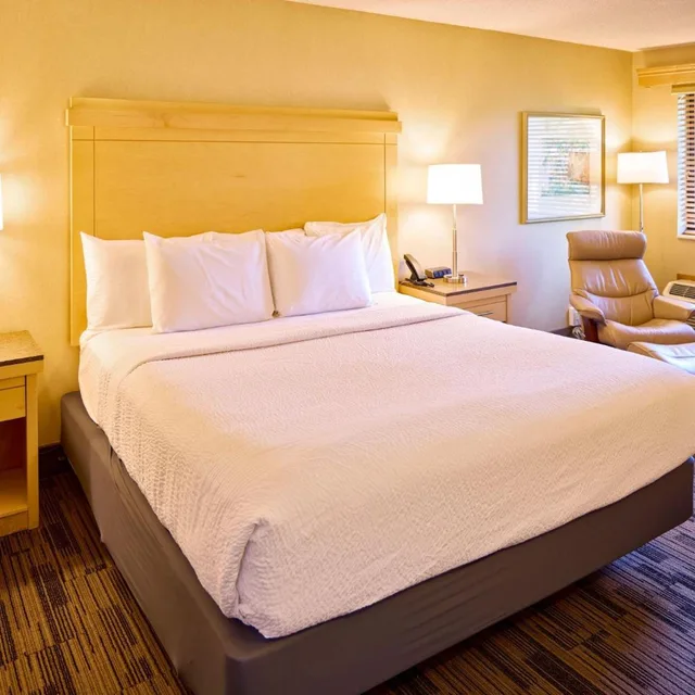 غرفة ديلوكس بسرير كينج، Livinn Hotel Cincinnati North Sharonville 1/9