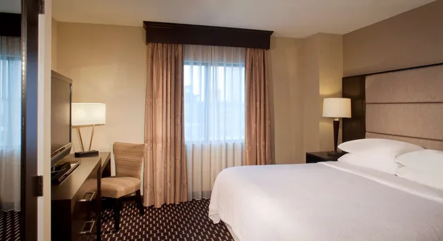 جناح بسرير كينج بغرفة نوم واحدة لذوي الإعاقة، Embassy Suites Galleria 1/3