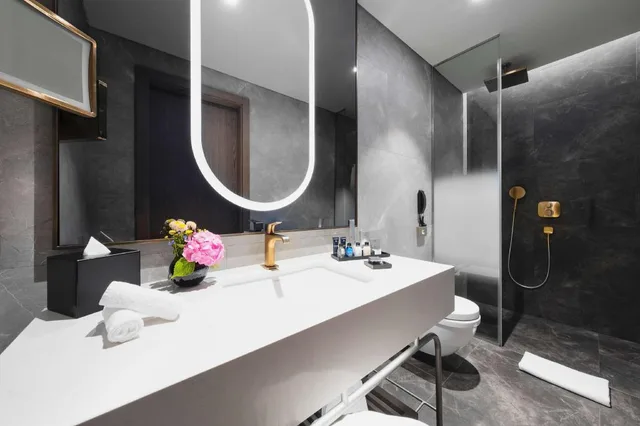 Junior Suite, King Bed, City and Forest View، Radisson Collection Hotel Vadistanbul 3/3