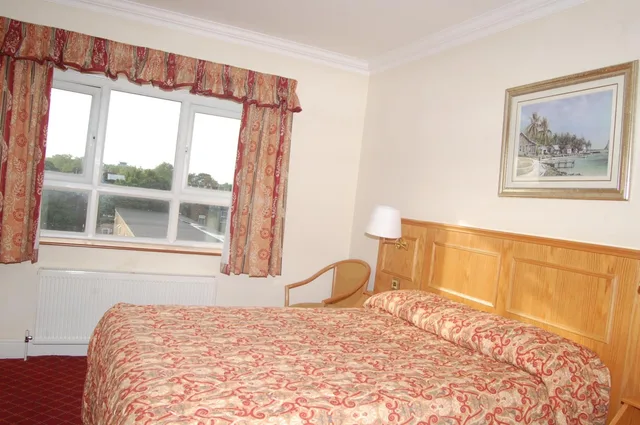 غرفة بسرير مزدوج، Viking Hotel 1/5