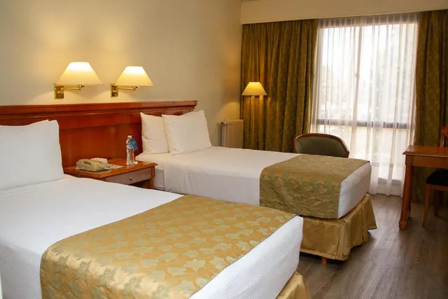 Plaza, Suite، Austral Plaza Hotel 1/3