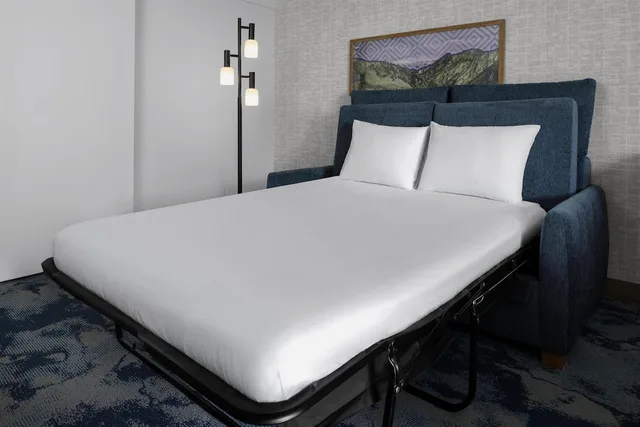 جناح استوديو بسرير كينج مع أريكة، Hampton Inn Salt Lake City-Downtown 1/10