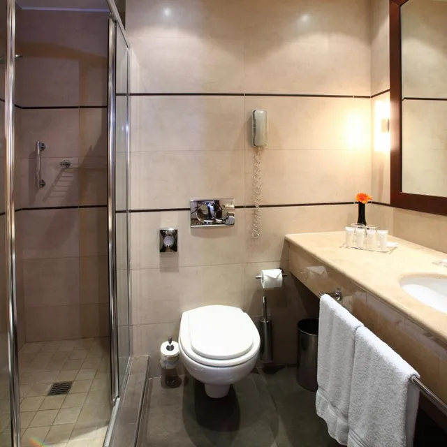 غرفة مفردة بسرير مزدوج، Starhotels Ritz 9/10