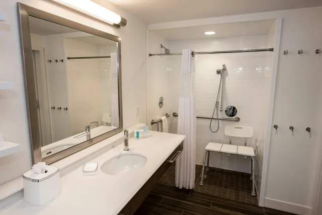 غرفة بسرير كينج لذوي الإعاقة، Hampton Inn Albany-Western Ave/University Area 3/4