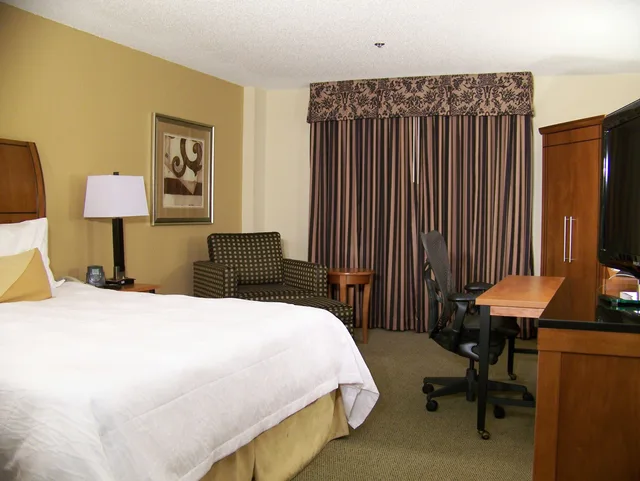 1 Bedroom, Suite, King Bed, Hilton Garden Inn Las Colinas 1/1