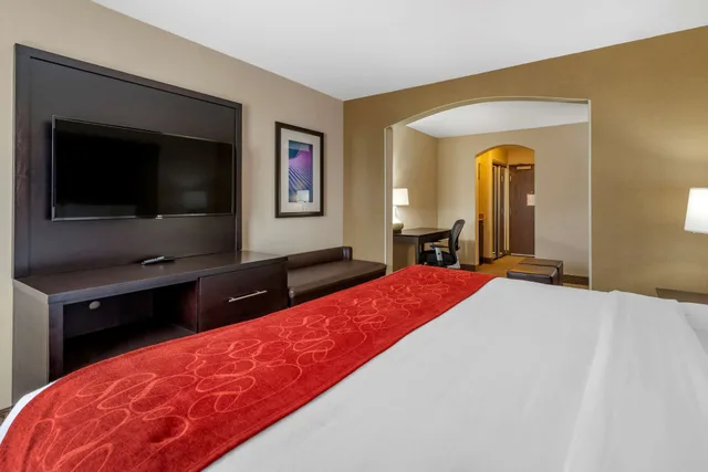 جناح بسرير كينج مع أريكة لذوي الإعاقة، Comfort Suites Highlands Ranch Denver Tech Center Area 1/7