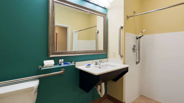 غرفة بسرير كينج لذوي الإعاقة، Best Western Plus Harrisburg Mechanicsburg 2/2