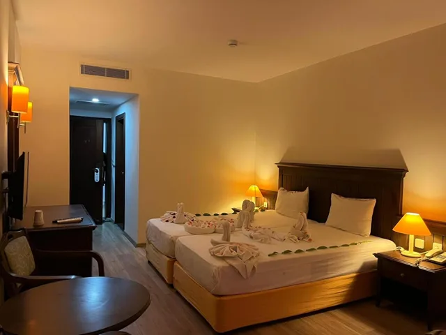 غرفة سوبيريور بسرير مزدوج، Palm Dor 1/10
