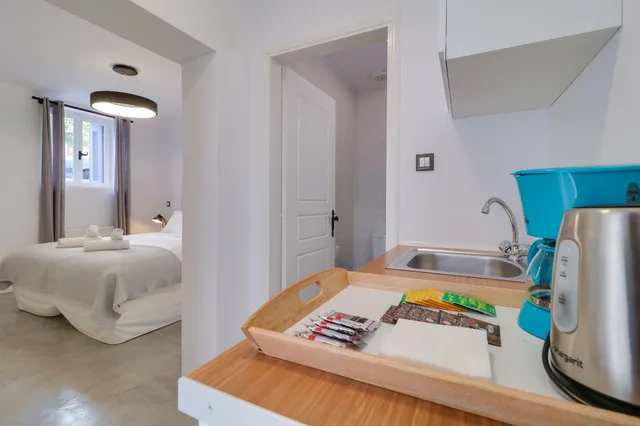 Semi Basement, 1 Bedroom, Apartment, King Bed، Athens Residence Apartments 3/3