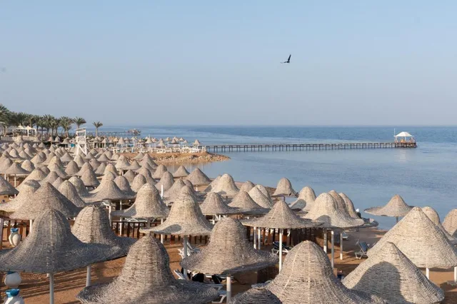 غرفة قياسية مفردة، Parrotel Beach Resort 2/3