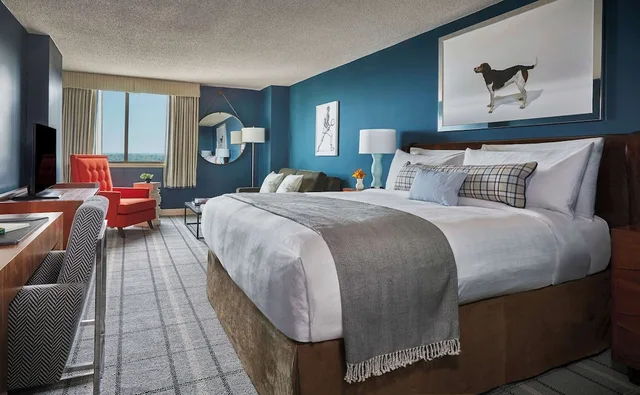 جناح جونيور بسرير كينج لذوي الإعاقة، Graduate by Hilton Richmond 1/3