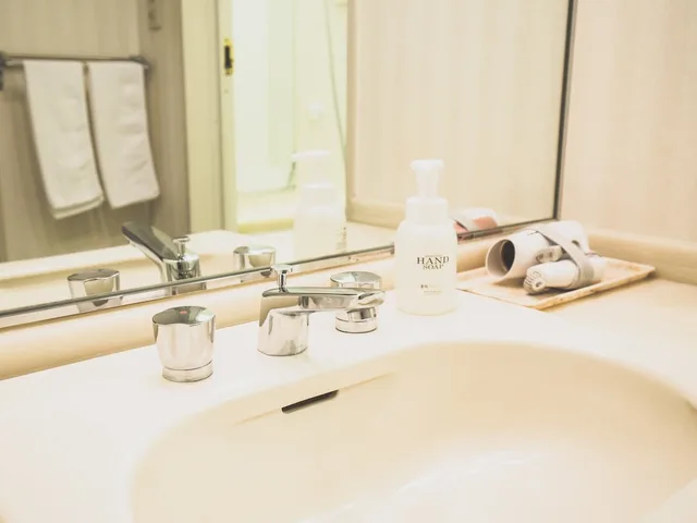 غرفة سوبيريور بسريرين منفصلين، Hotel Karuizawa Elegance 5/7