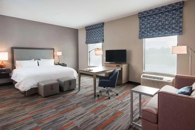 استوديو بسرير كينج مع أريكة لذوي الإعاقة، Hampton Inn Suites Wisconsin Dells Lake Delton 1/4