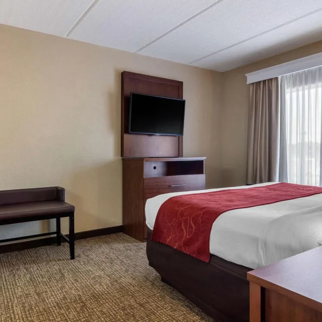 جناح تنفيذي بسرير كينج، Comfort Suites Woodstock - Atlanta North 3/6