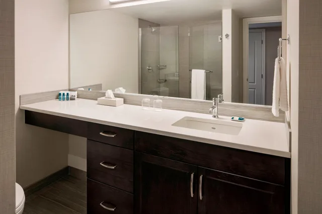 جناح بسرير كينج بإطلالة على المدينة بغرفة نوم واحدة مع أريكة، Delta Grand Okanagan Resort 3/4
