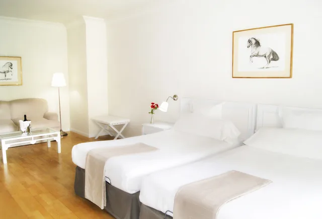 Superior, King Bed, Hotel Jerez AQ35 10/10